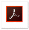 Adobe Acrobat Training