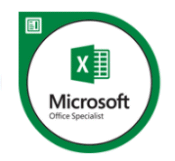 Microsoft Office Specialist (MOS) Excel Certification Training