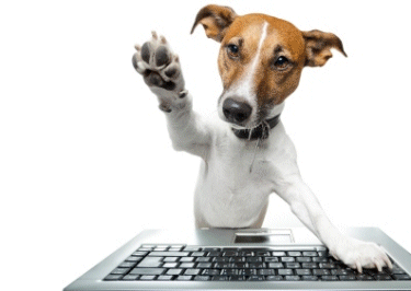 Learn how to use a personal computing device with training from ONLC Training Centers