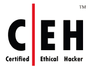 Certified Ethical Hacker Training Classes in McLean, Virginia